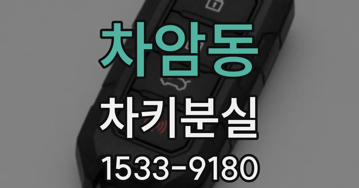 차암동 차키분실