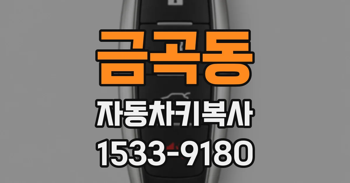 금곡동 자동차키복사