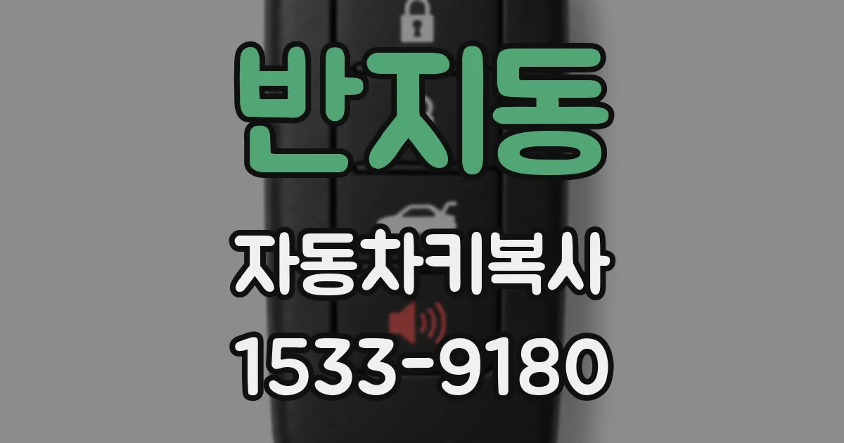 반지동 자동차키복사