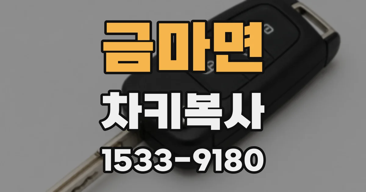 금마면 차키복사