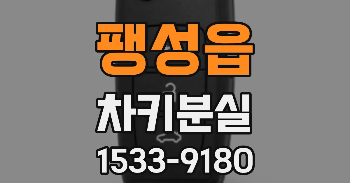 팽성읍 차키분실