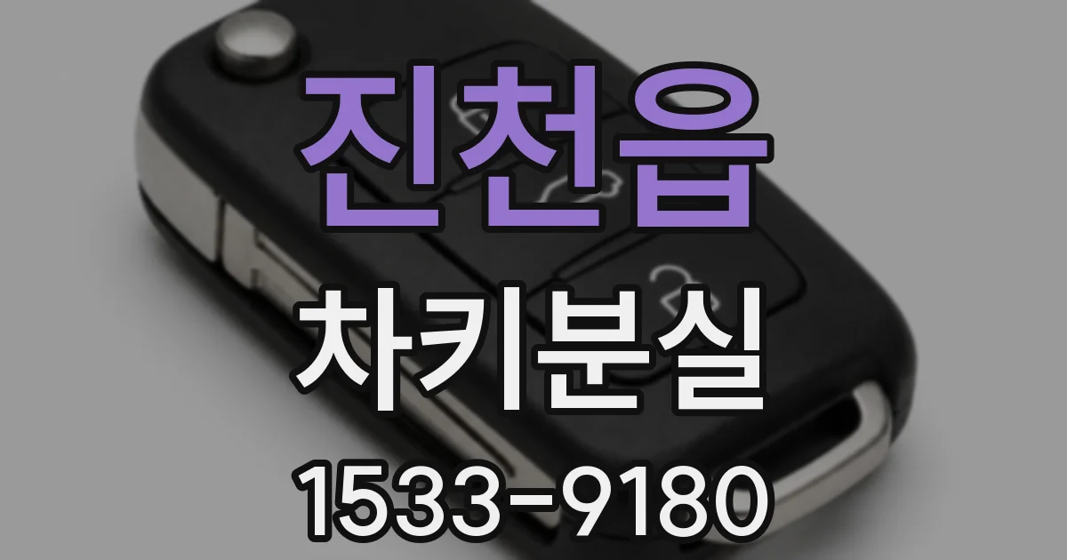 진천읍 차키분실