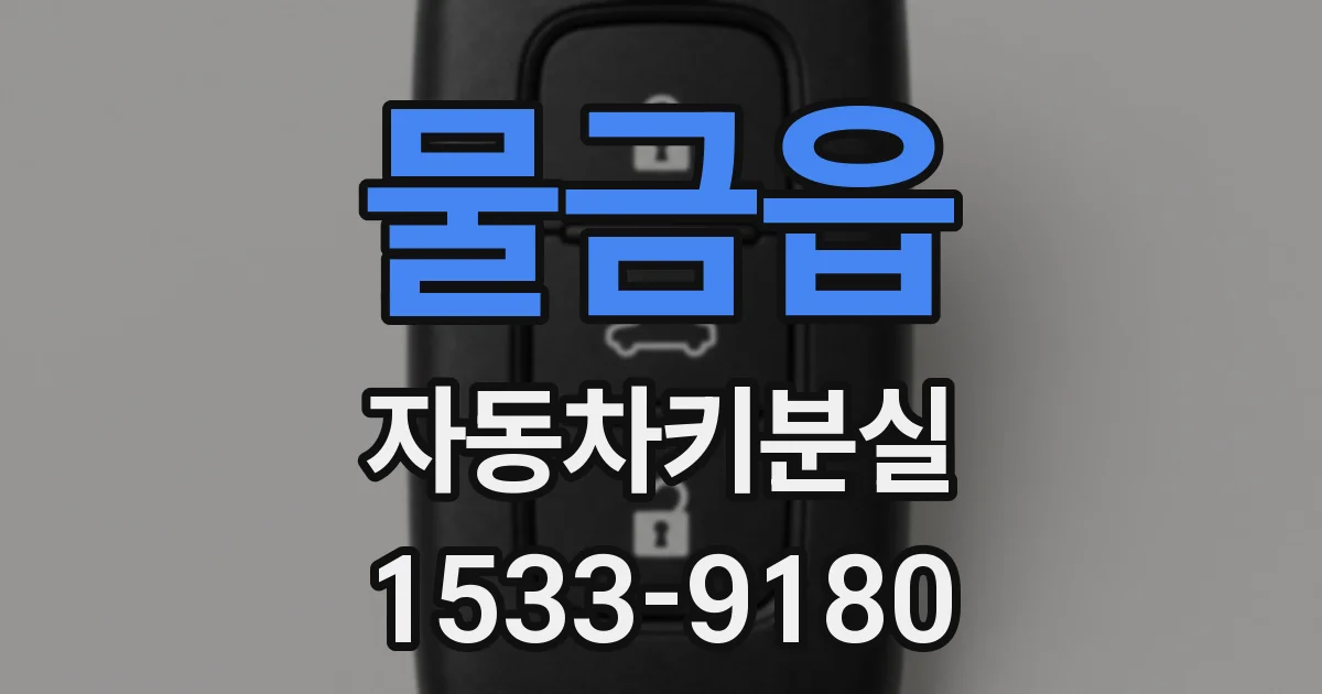 물금읍 자동차키분실