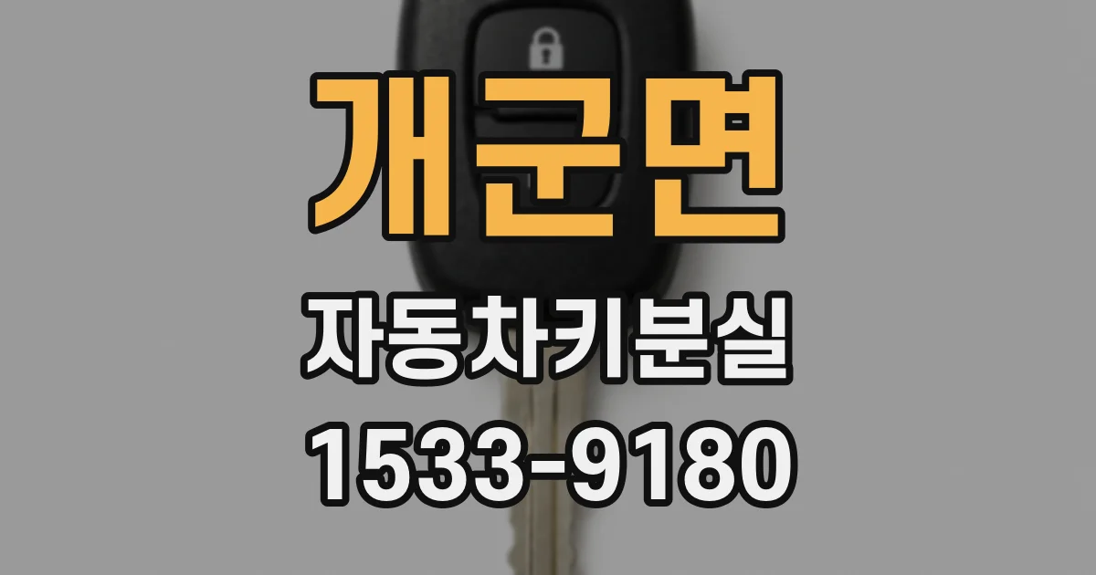 개군면 자동차키분실