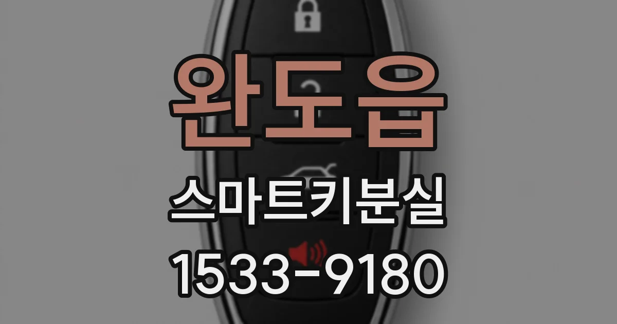 완도읍 스마트키분실