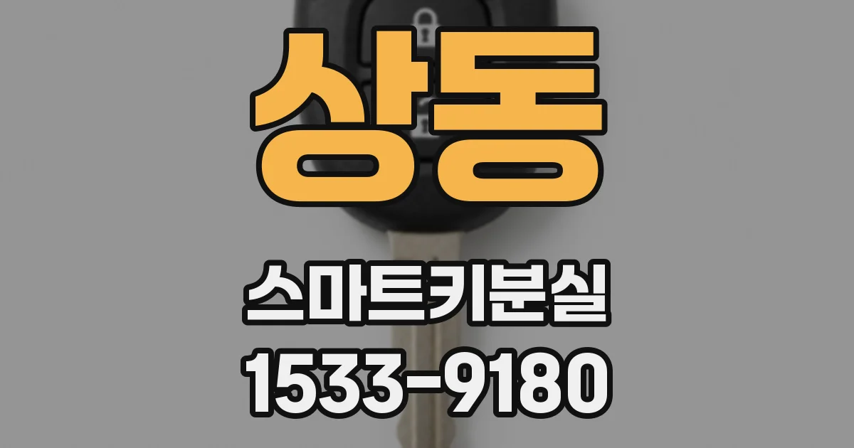 상동 스마트키분실