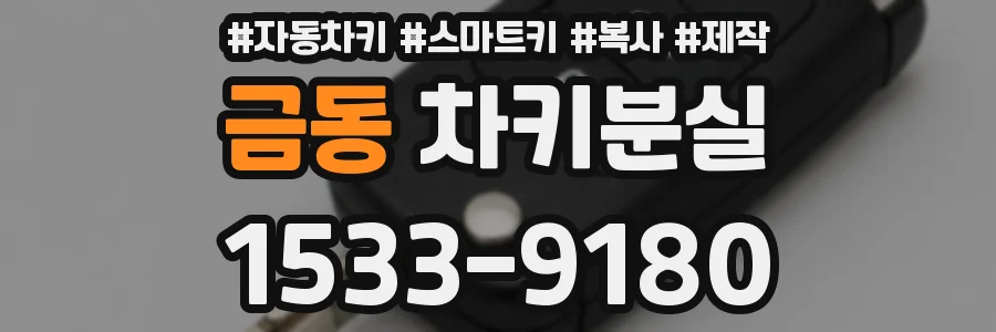 금동 차키분실