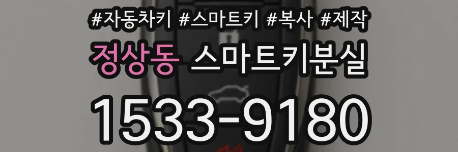 정상동 스마트키분실