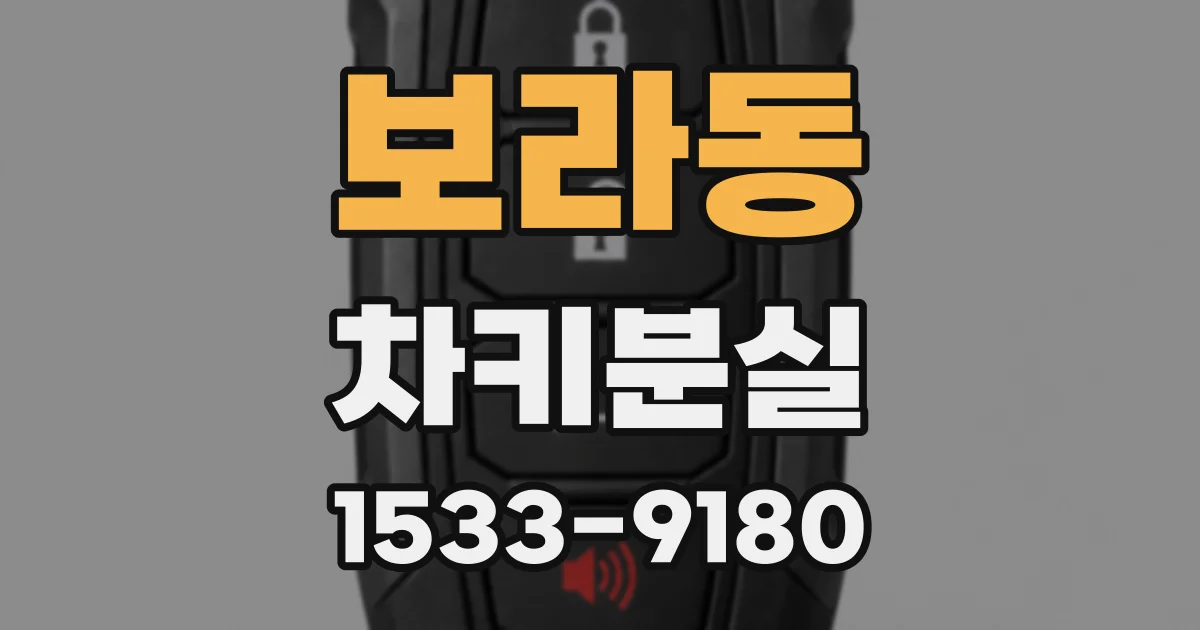 보라동 차키분실