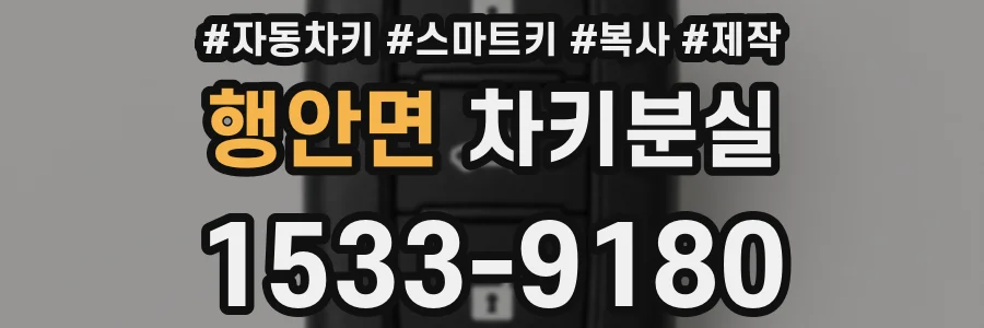 행안면 차키분실