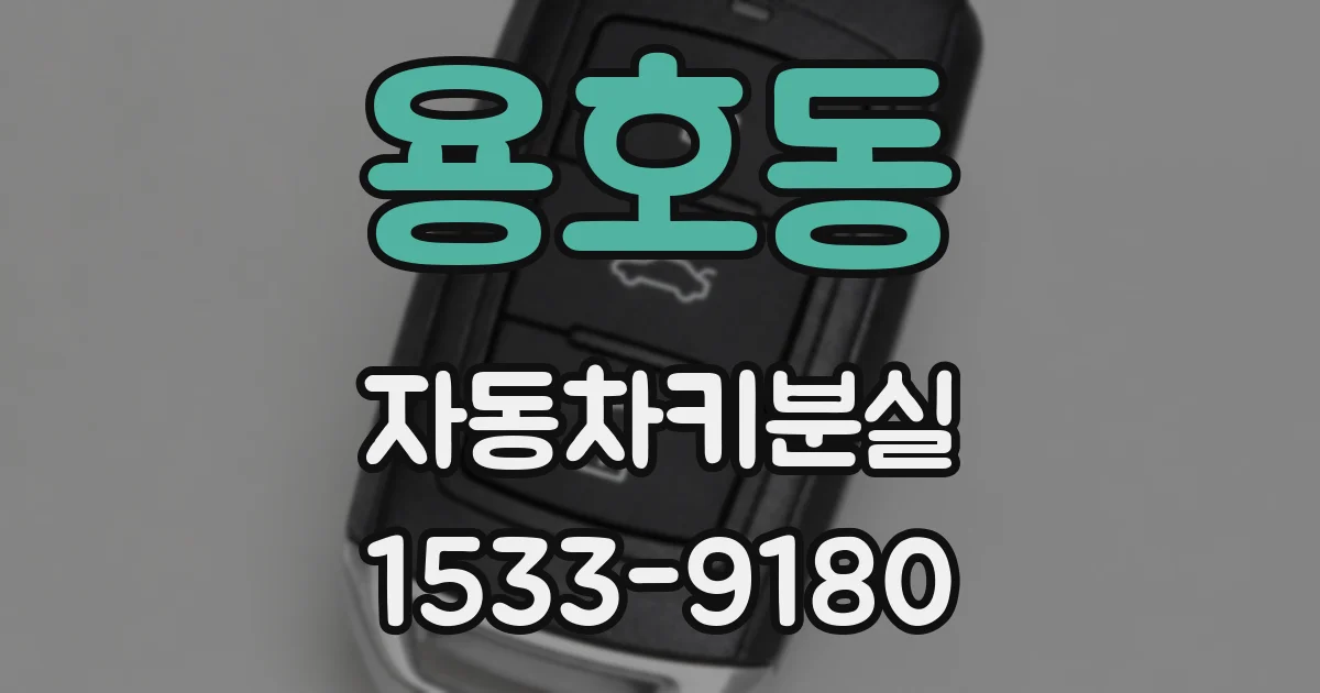 용호동 자동차키분실