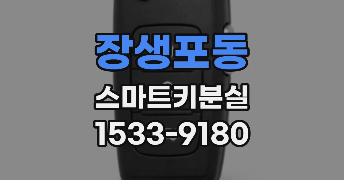 장생포동 스마트키분실