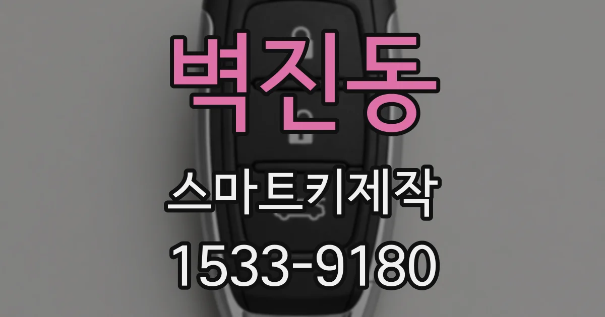 벽진동 스마트키제작