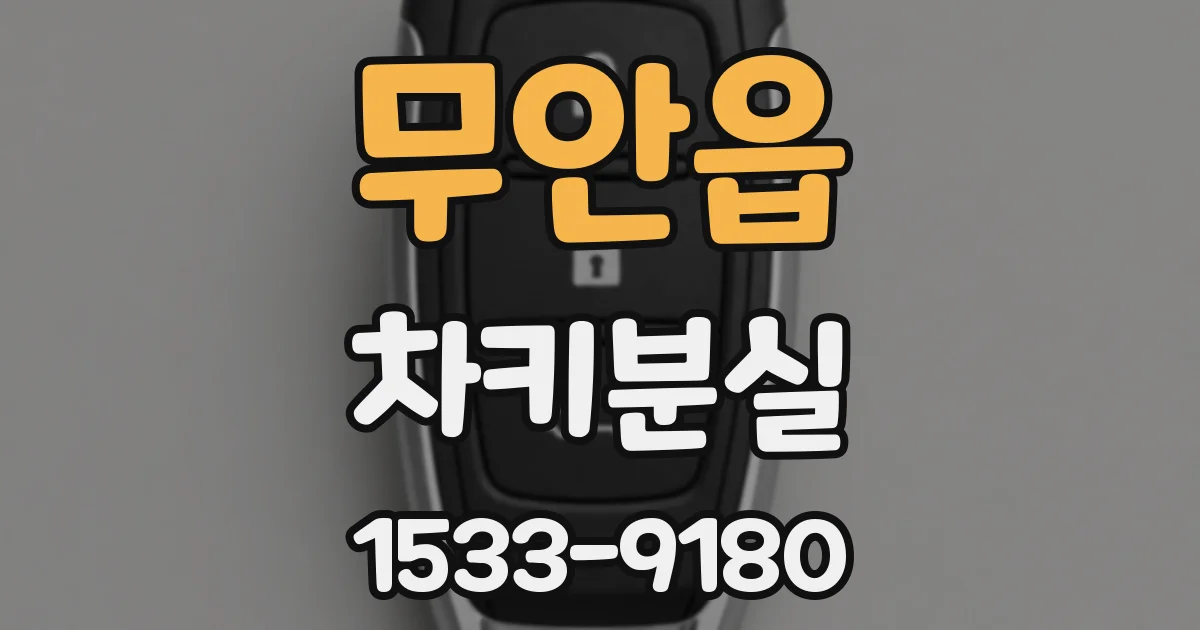 무안읍 차키분실