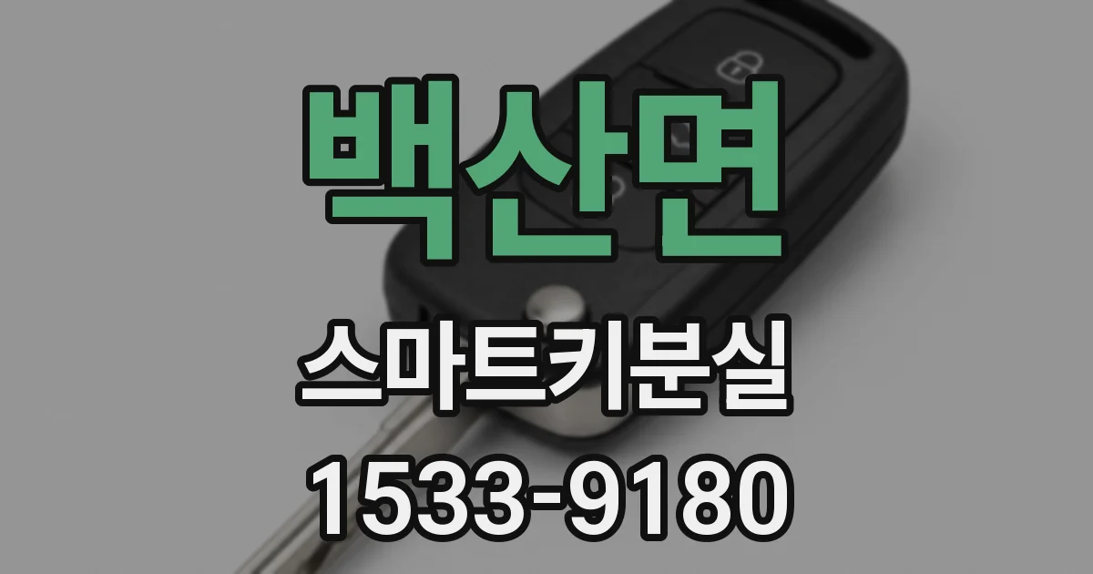 백산면 스마트키분실