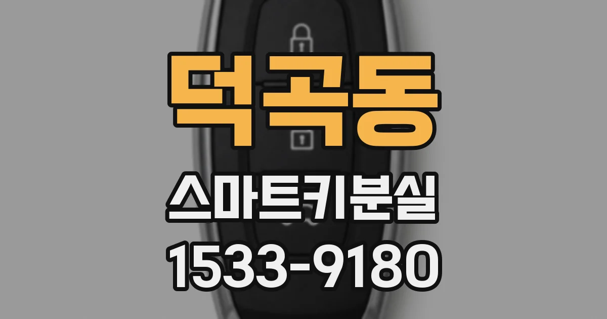 덕곡동 스마트키분실