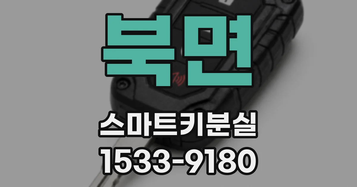 북면 스마트키분실