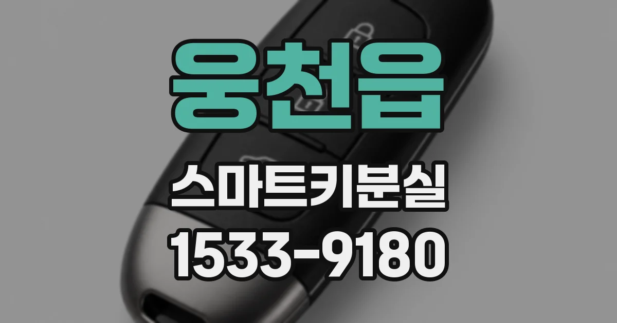웅천읍 스마트키분실