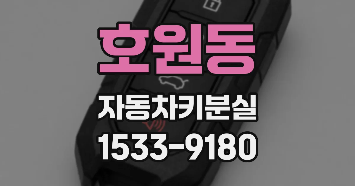 호원동 자동차키분실