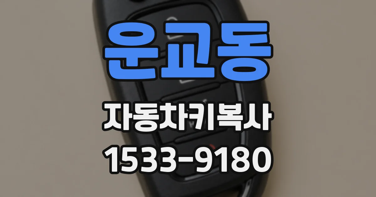 운교동 자동차키복사