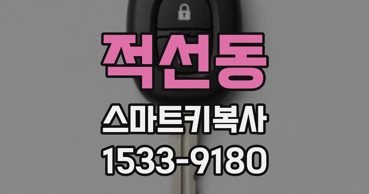 적선동 스마트키복사