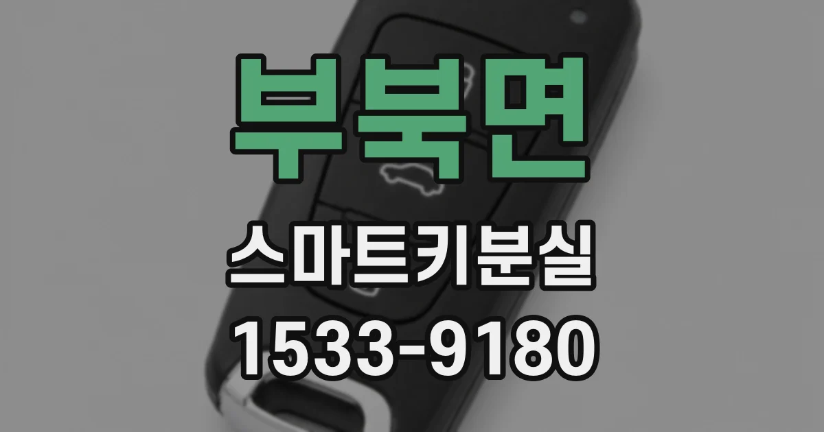 부북면 스마트키분실