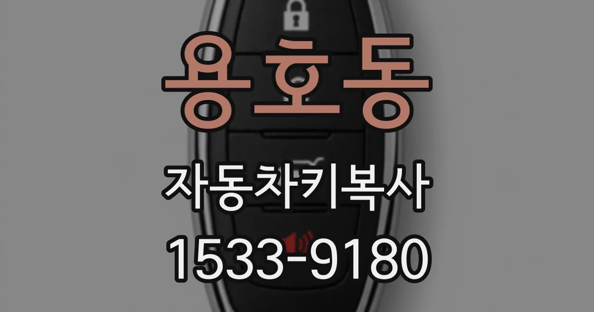 용호동 자동차키복사