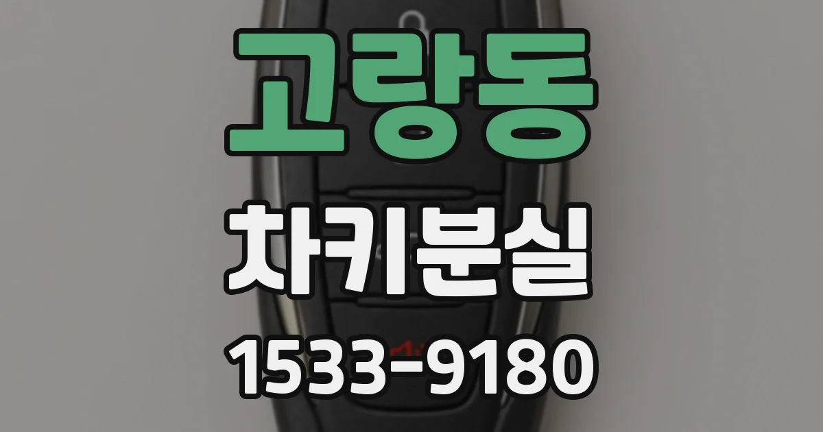 고랑동 차키분실