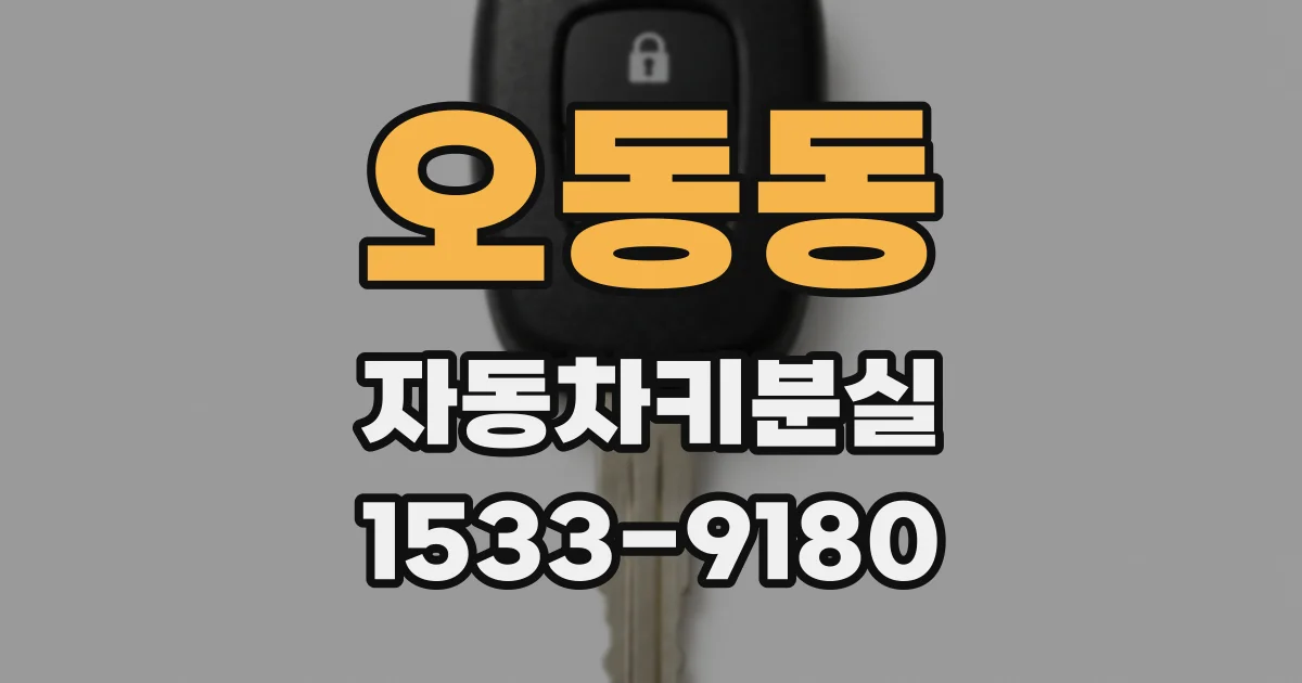 오동동 자동차키분실