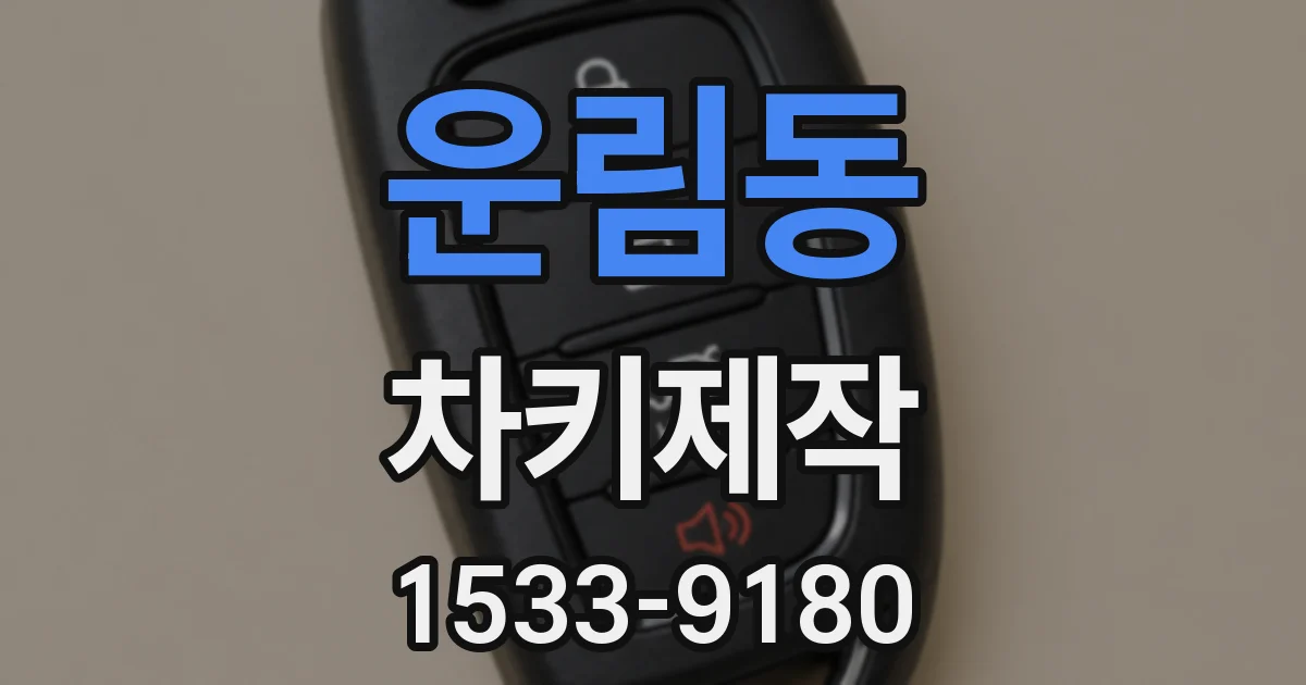 운림동 차키제작