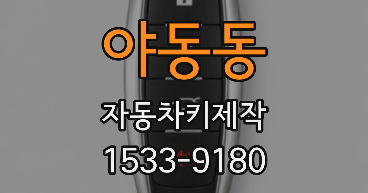 야동동 자동차키제작