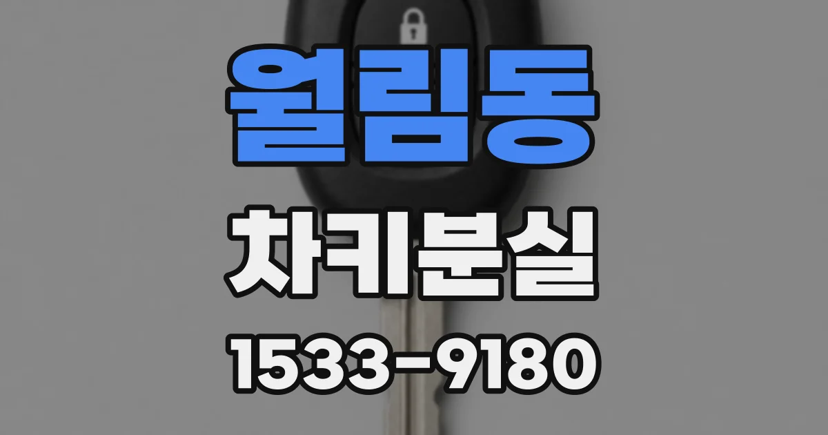 월림동 차키분실