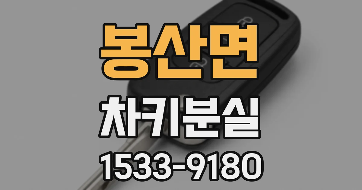 봉산면 차키분실