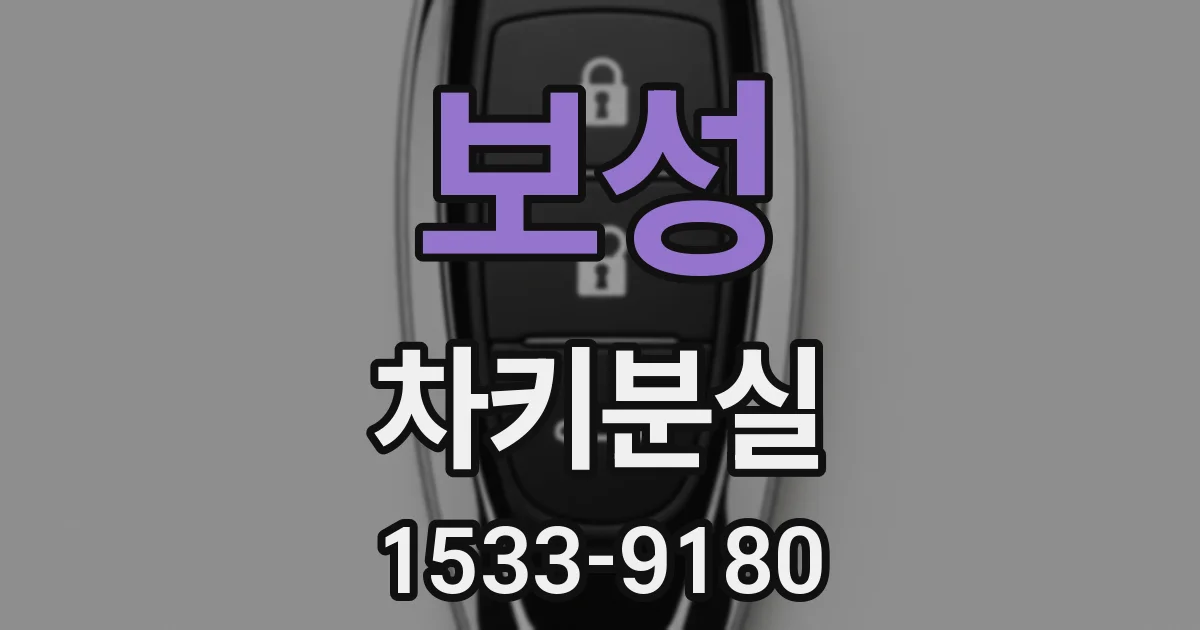 보성 차키분실