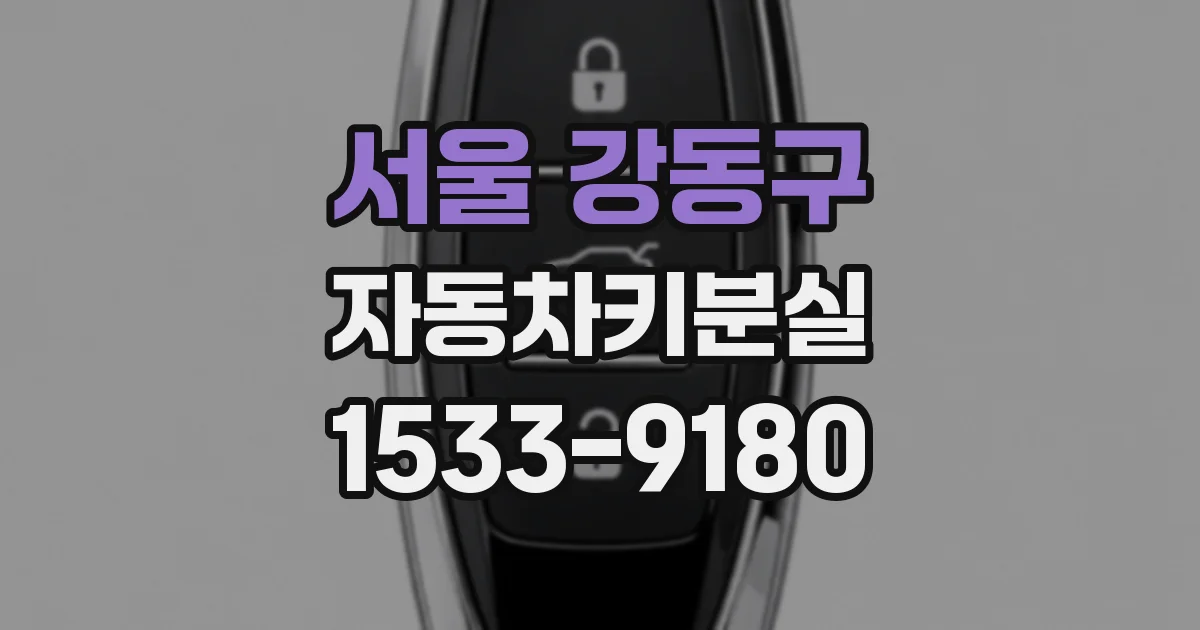 서울 강동구 자동차키분실