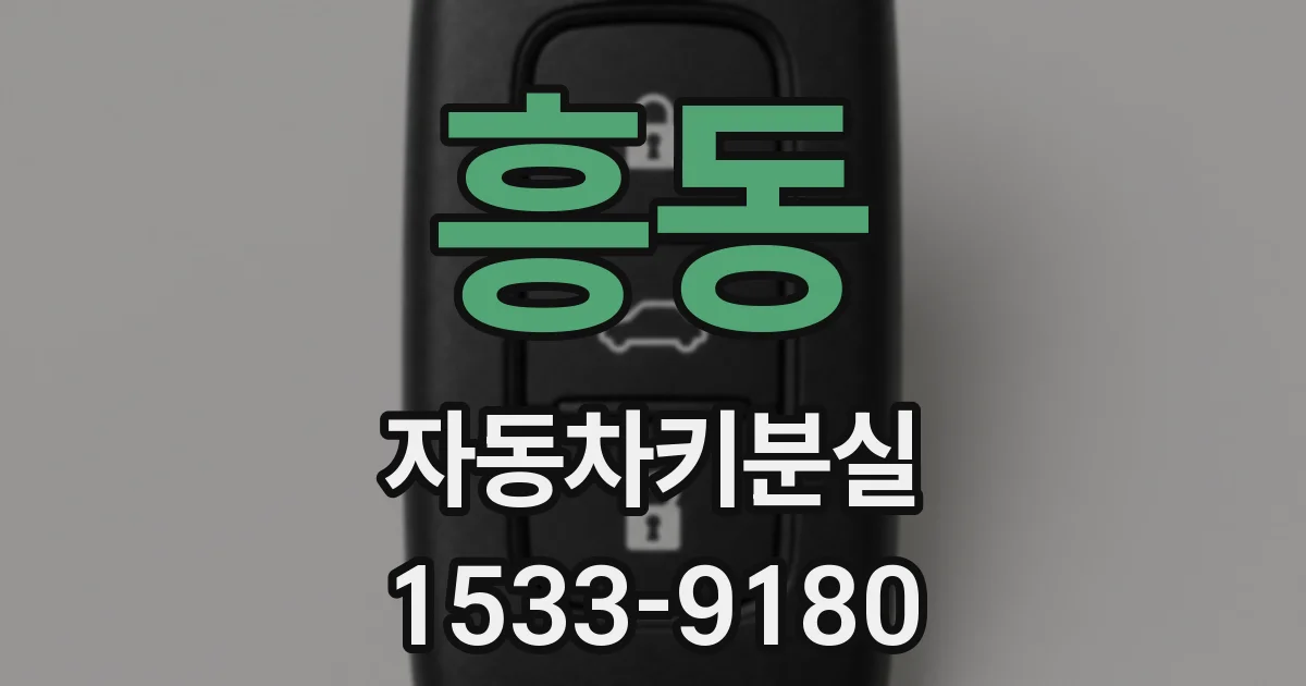 흥동 자동차키분실