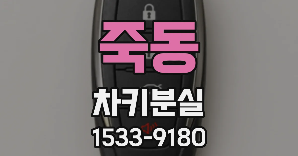 죽동 차키분실