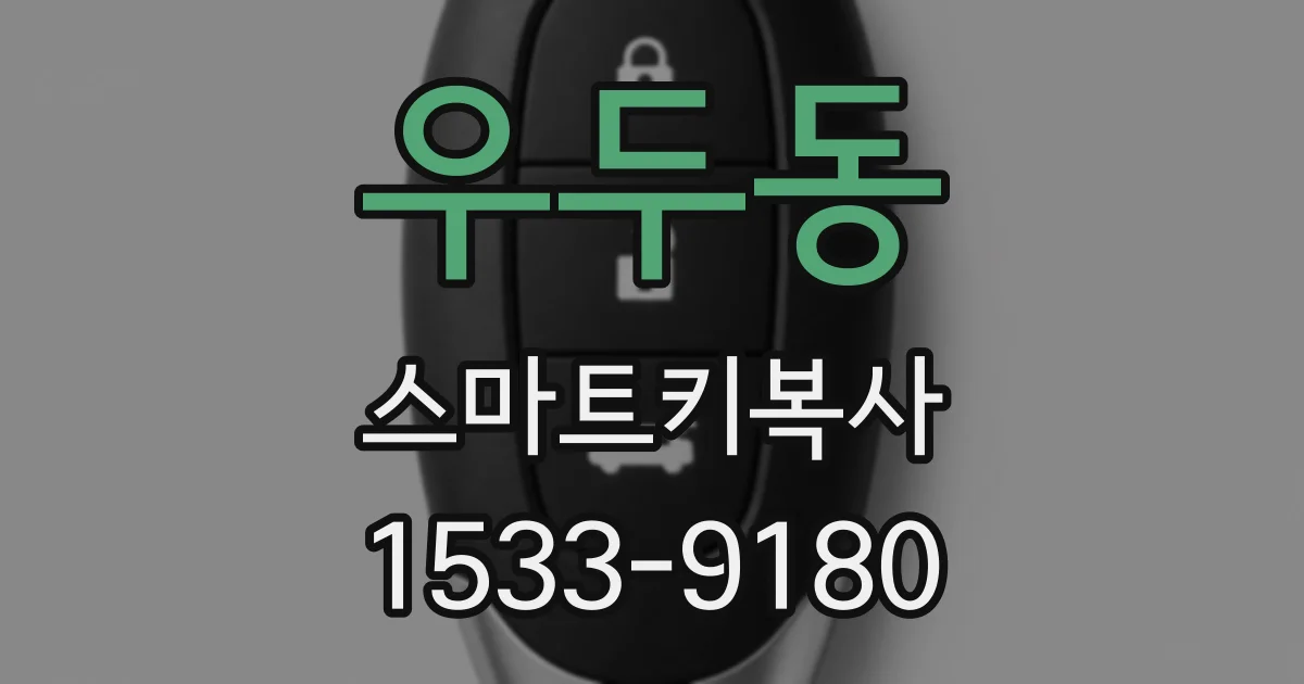 우두동 스마트키복사