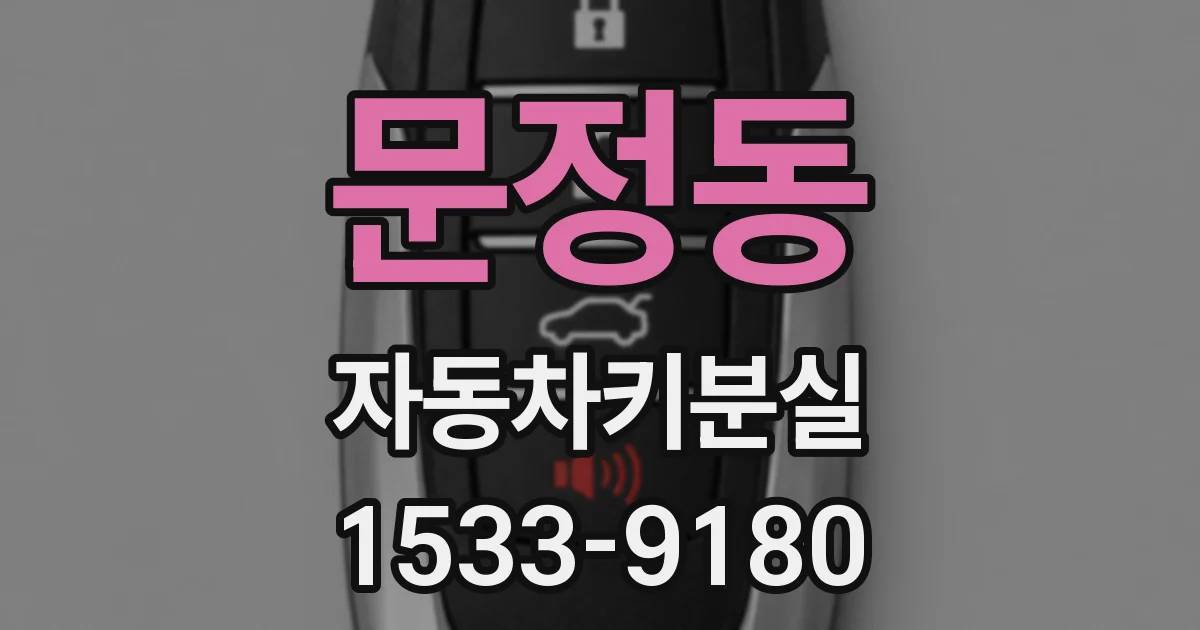 문정동 자동차키분실