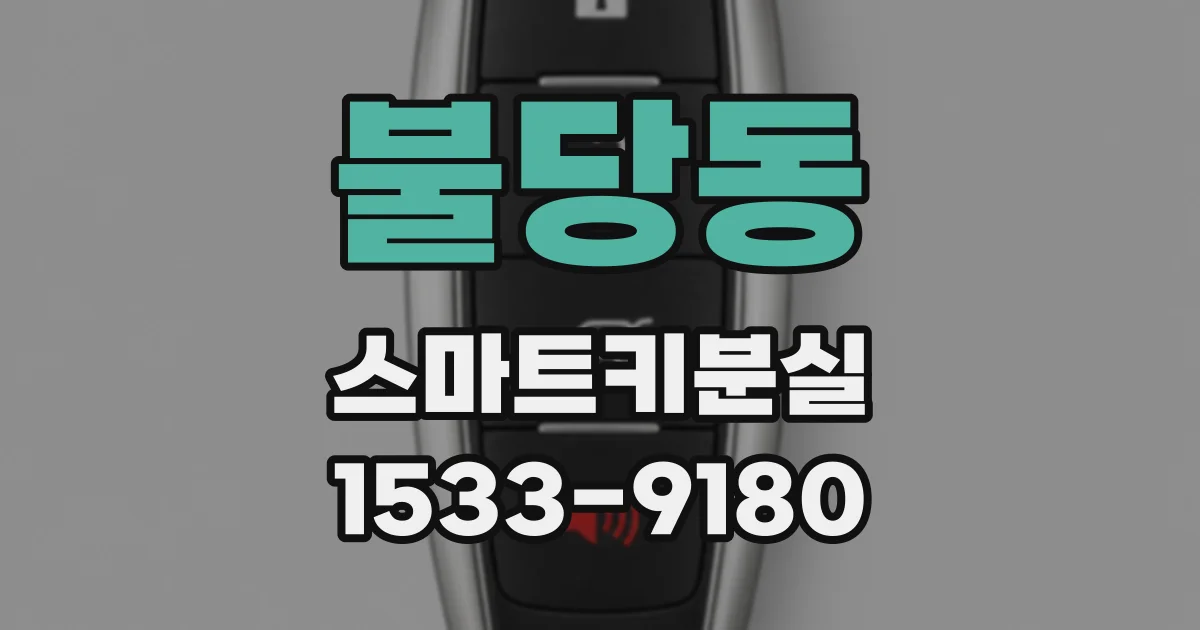 불당동 스마트키분실