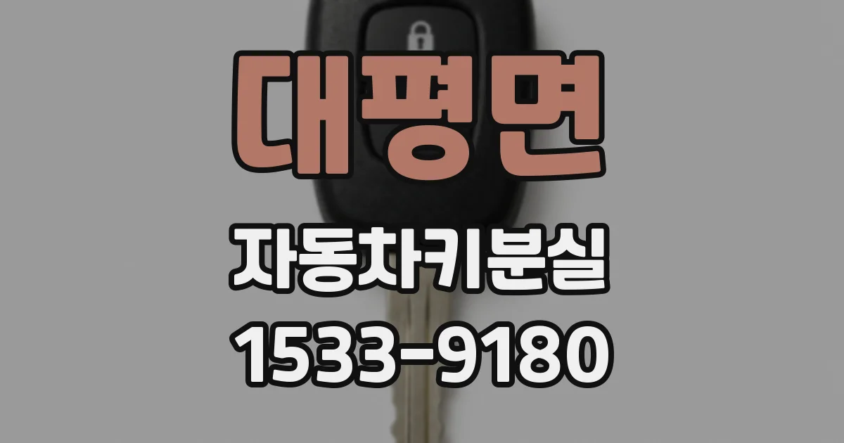 대평면 자동차키분실