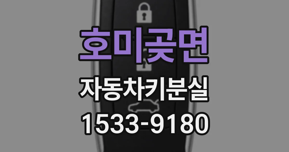 호미곶면 자동차키분실