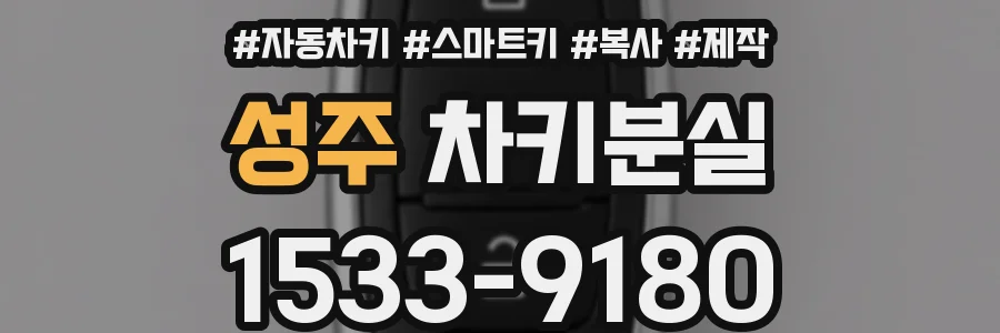 성주 차키분실