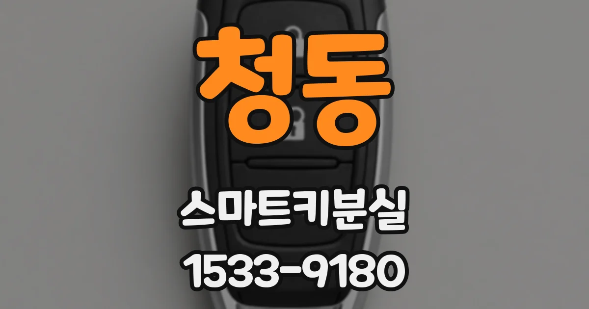 청동 스마트키분실