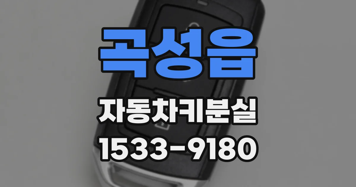 곡성읍 자동차키분실