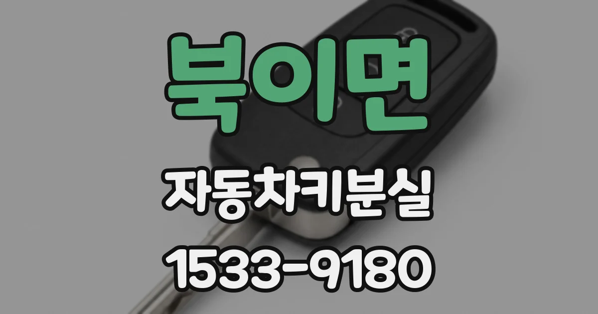 북이면 자동차키분실