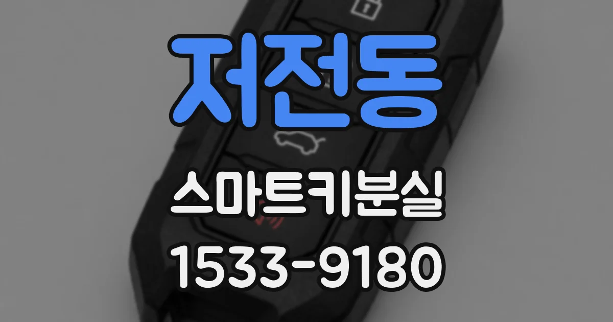 저전동 스마트키분실