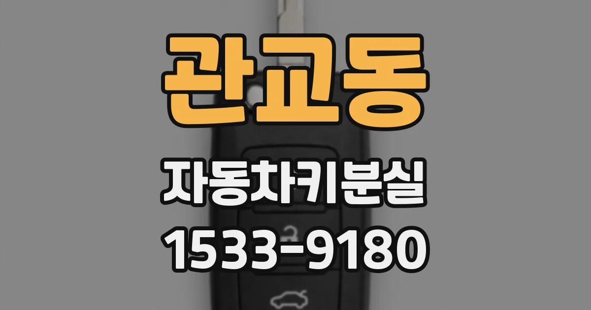 관교동 자동차키분실