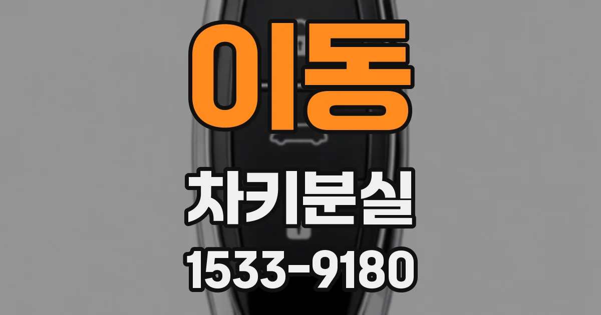 이동 차키분실