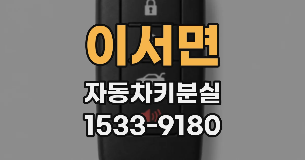 이서면 자동차키분실